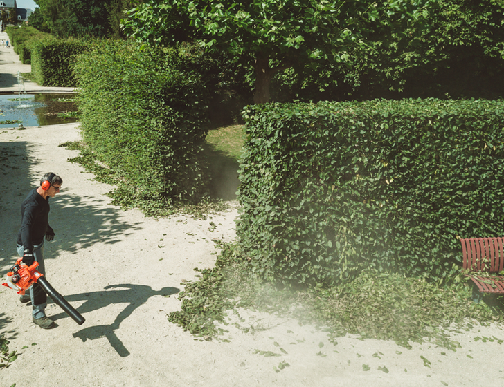 Professional engine Professional engine