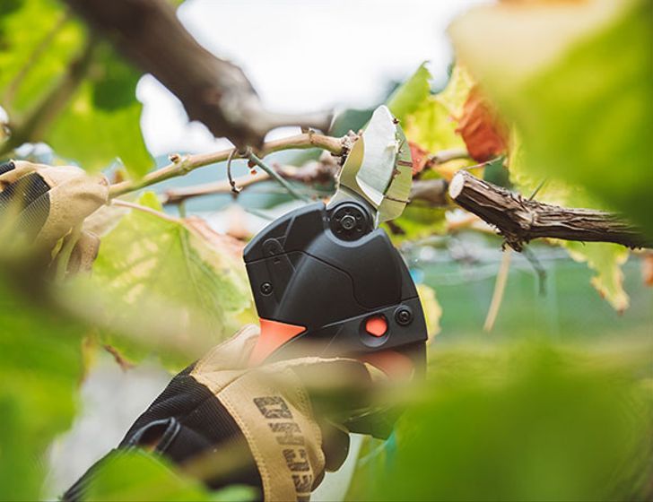 Exceptional power. Exceptional power.