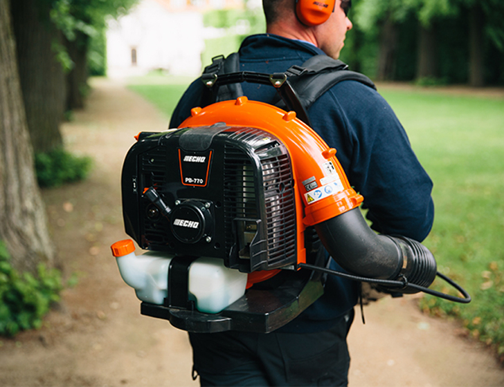 Professional engine Professional engine