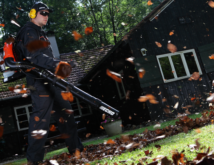 Professional engine Professional engine